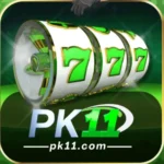 PK11 Game Apk